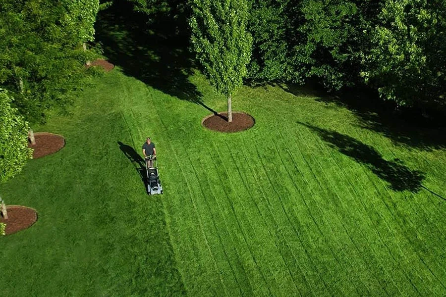 best cordless lawn mower with battery and charger